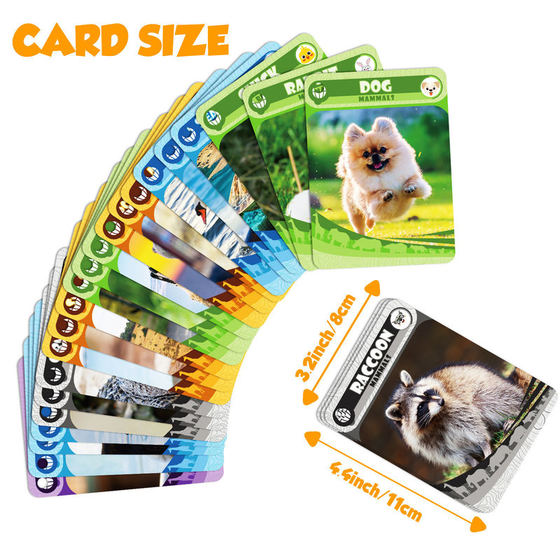 Complete 52 Ace-10 Educational Card Box In Vintage Style